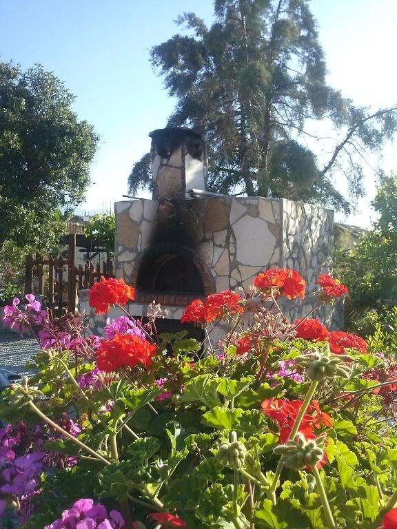 Villa Costas - Popi Sívas Oda fotoğraf