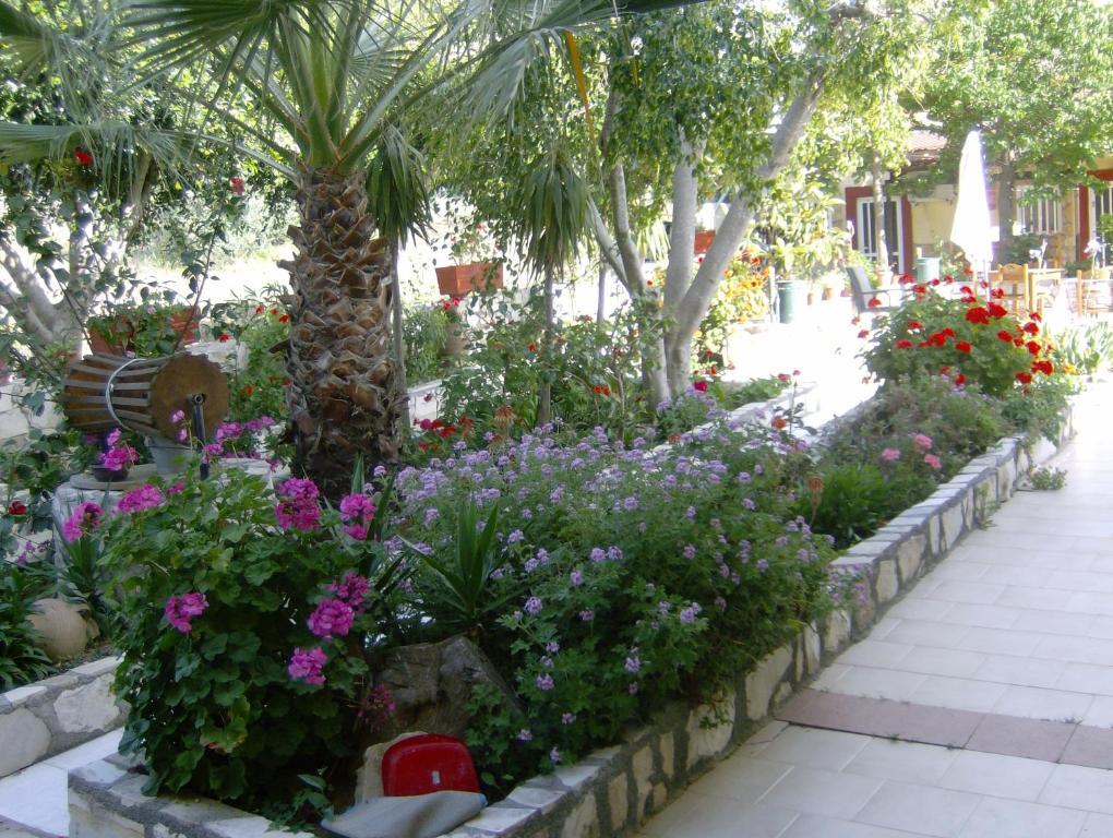 Villa Costas - Popi Sívas Dış mekan fotoğraf